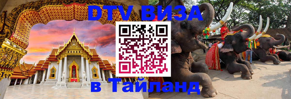 Сколько стоит DTV виза — актуальные цены, оформление даже без документов - Амстердам 